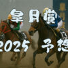 皐月賞2025予想